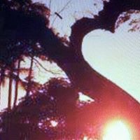Karen Shuler Photo 21