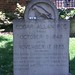 Allan May Photo 16