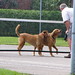 Kelli Riley Photo 20