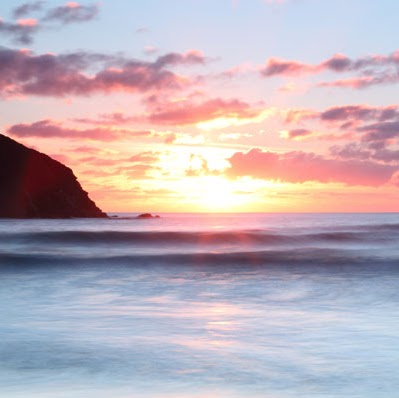 Peter Collins Photo 34