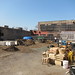 Roberta Plant Photo 5