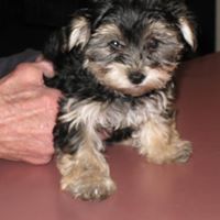 Mary Metzler Photo 30
