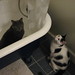 Arthur Moody Photo 13