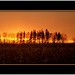 Marty Lang Photo 22