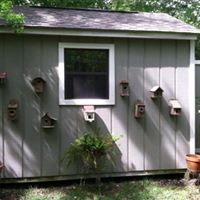 Brenda Hedrick Photo 8