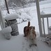 Ginger Gunter Photo 22
