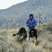 Brenda Fraser Photo 7