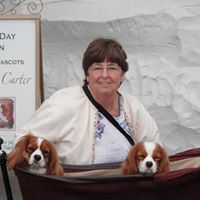 Connie Summers Photo 23