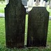 Elizabeth Wilcox Photo 37