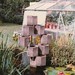 Shirley Stafford Photo 19