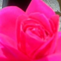 Maria Olguin Photo 29