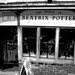 Jay Potter Photo 53