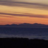 Diane Larkin Photo 7