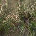 Heather Wald Photo 12