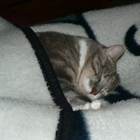 Heather Farina Photo 3