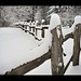 Edward Fram Photo 8