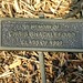 Chris Shackleford Photo 20