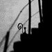 Vincent Gatto Photo 9