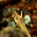 Kathleen Connors Photo 27