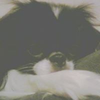Jillian Conner Photo 4