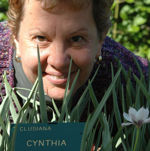 Cynthia Jorgensen Photo 22