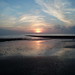 Shaun Welsh Photo 19