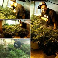 Jeff Sollars Photo 25