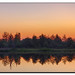 Dawn Boynton Photo 3