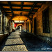 Sergio Aviles Photo 17