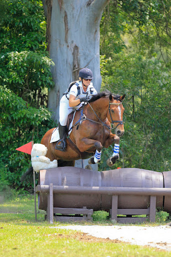 Marcia Williamson Photo 18