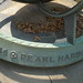 John Liberty Photo 26