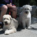 Debbie Shelby Photo 15