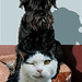 Cindy Meiners Photo 4