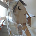 Joshua Short Photo 34