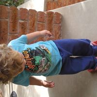 Jayne Stephens Photo 5