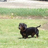 Bobbie Childress Photo 8