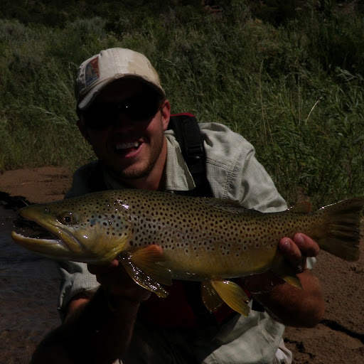 Jordan Gillespie Photo 37