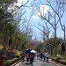 Bach Dinh Photo 8