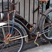 Susan Rust Photo 20