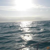 David Dukes Photo 28