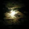 Wayne Guthrie Photo 15