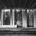 Richard Haas Photo 30