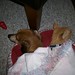 Willie Haley Photo 12