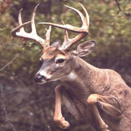 Anthony Pratt Photo 22