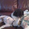 Helen Bowers Photo 42