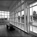 Jeffrey Meier Photo 16