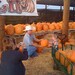 Jeanine Davis Photo 29
