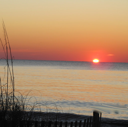 Greg Rowe Photo 15