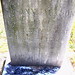 Susan Parkhurst Photo 4
