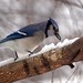 Kathy Jay Photo 18